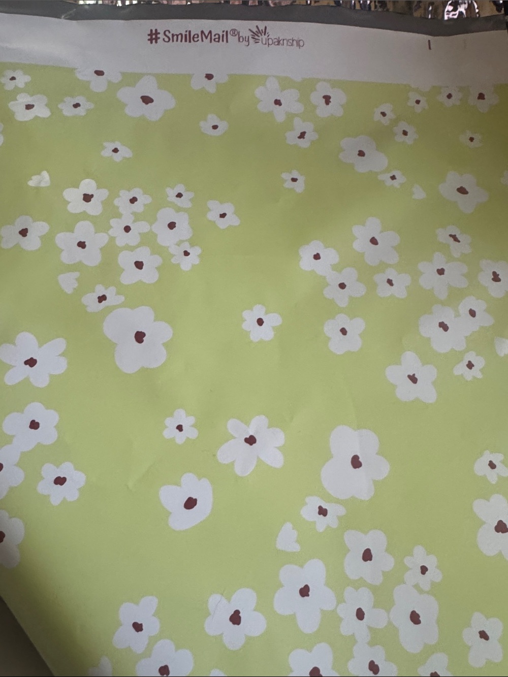 Lime Green Daisy Polymailes 12x15” - Set of 15
